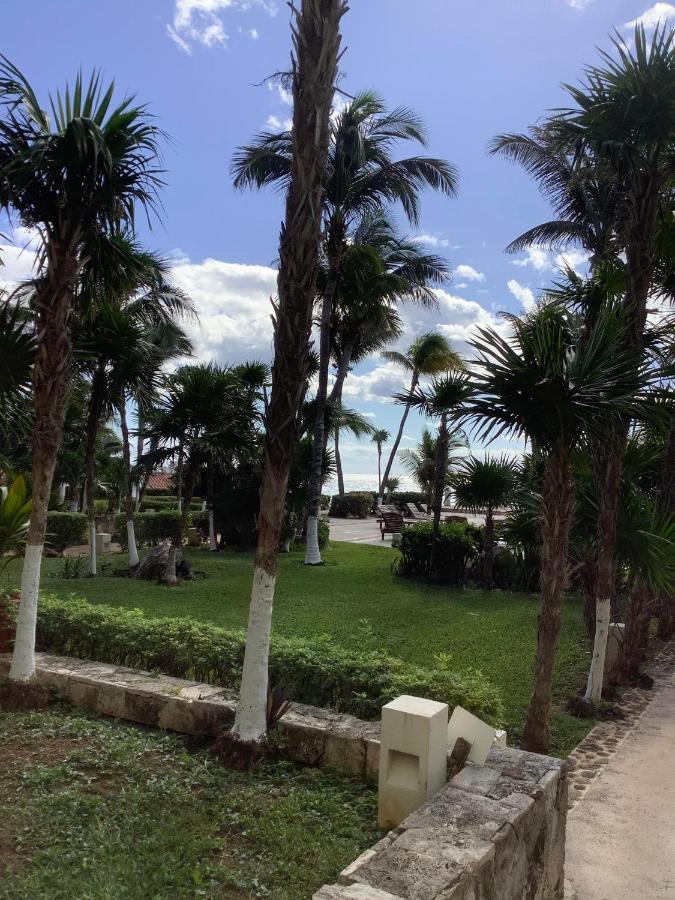 Beachaccess Hotelzone 3705 Cancún Eksteriør billede